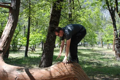 DSC_0086 (Large).JPG